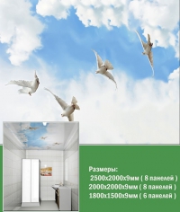 Декоративный потолок ПВХ Высота 2,0 м 8 шт (4 м2) в Орехово-Зуево купить за 2920 руб  в интернет-магазине стройматериалов СтройДвор на Карболите 
